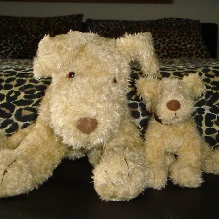 Eden Bed & Breakfast