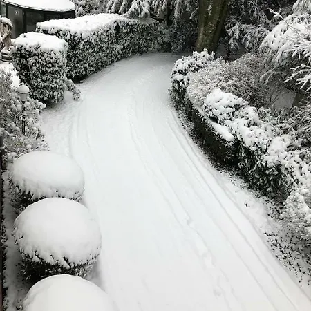 Eden فندق مبيت وإفطار 2*