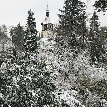 فندق مبيت وإفطار Eden